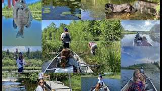 Lorraine Lake Vlog - June 2021