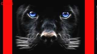 llllllllllllllllllllllllllllllllllllllllllllllllllll