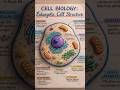 #eukaryoticcell #animalcell #biology #cell #science