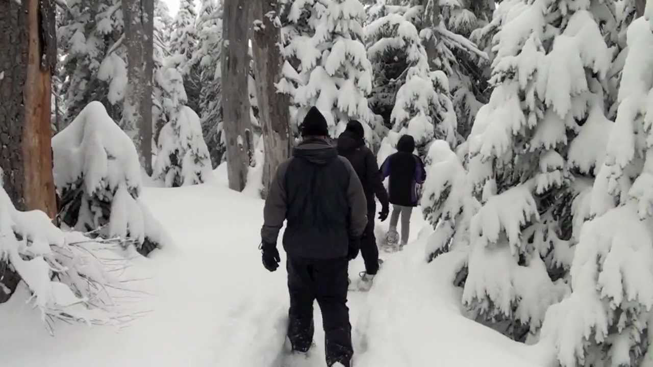 Snowshoeing at Hurricane Ridge in Olympic National Park, January 2012 YouTube