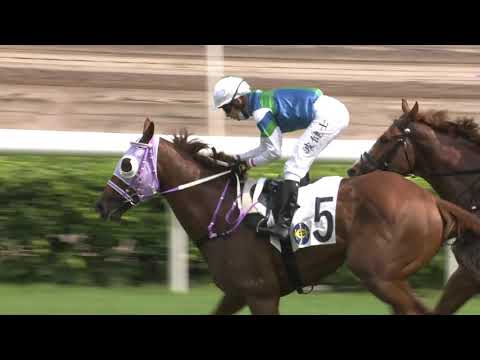 Video Hong Kong Race Replay | Sha Tin | October 1, 2021 - youtube