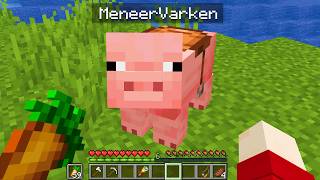 Ik Vind Meneer Varken Terug!