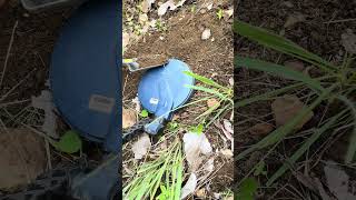 Esta es la potencia de el detector SDC 2300. ORO pequeño #gold #metaldetecting #metal #oro