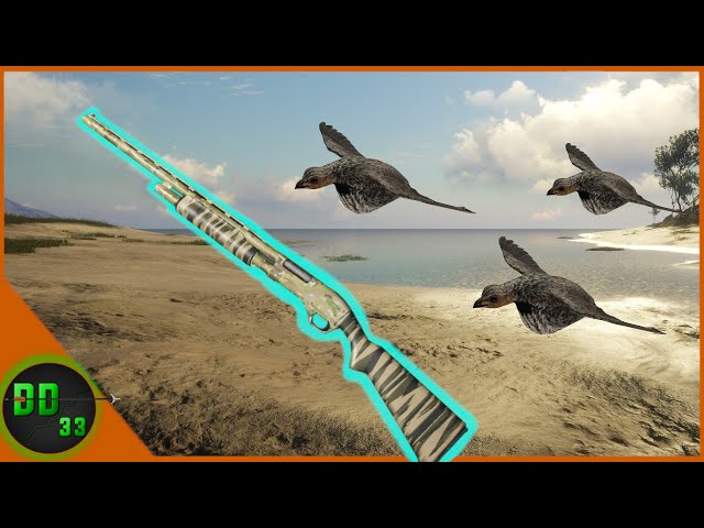 Quail Hunting in Australia! Call Of The Wild - YouTube