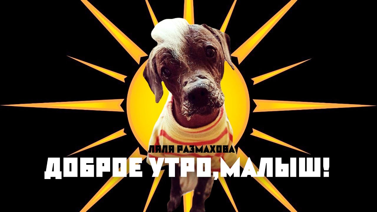 Ляля Размахова — «Доброе утро, малыш!» | Премьера клипа - YouTube