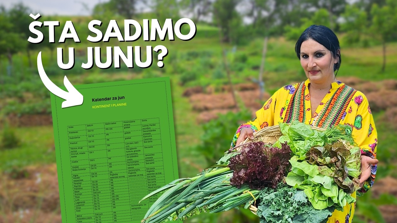 Sadimo Šta Sadimo u JUNU? - YouTube