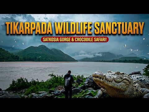 Tikarpada wildlife sanctuary Angul || Crocodile and Tiger Reserve|| Monsoon Ride #viral #vlog 