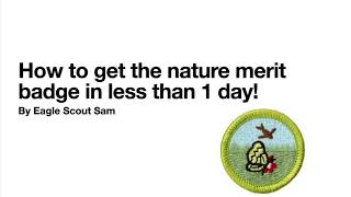 How to get the nature merit badge in less than 1 day