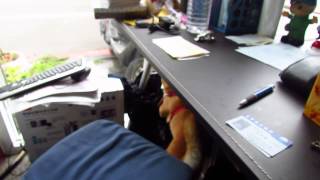20130820 8少爺異常行為-趴4