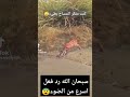 غزال وتمساح الغزال يفوز مقاطع حيوانات ناشنال جغرافيك حالات واتس نص مليون مشاهدات لهذا الفيديو