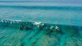 Maldives - Lohifushi Surf Resort