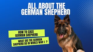 All about the German shepherd - History, care & training‖ veterinary channel