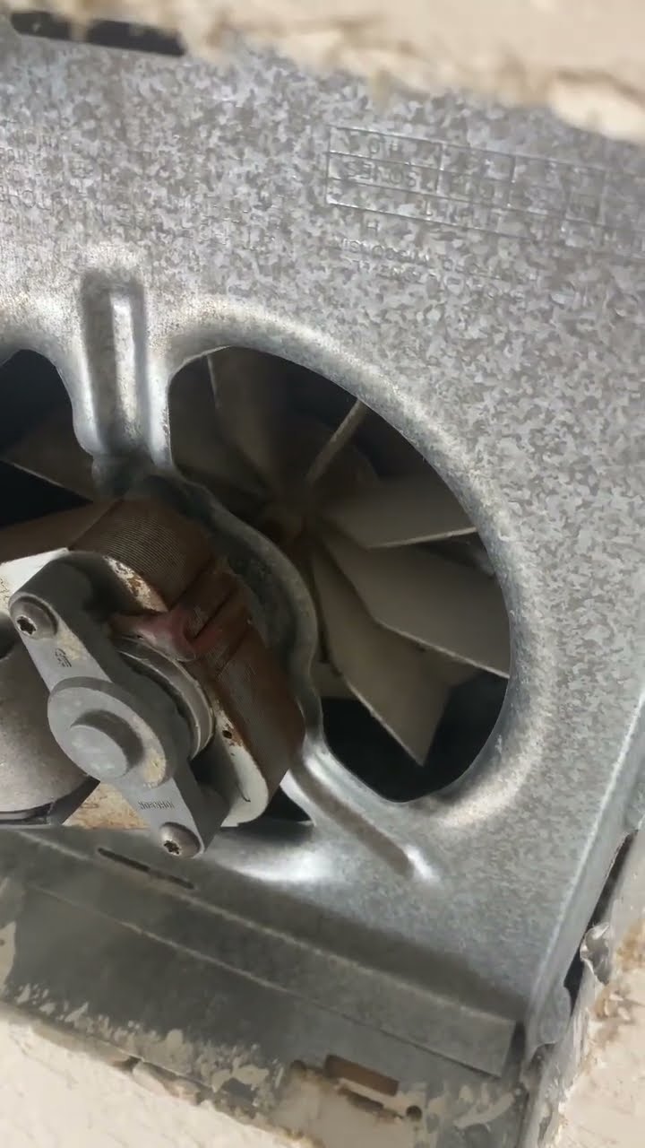 Buzzing noise coming from bathroom fan. Any one know if this could be ...