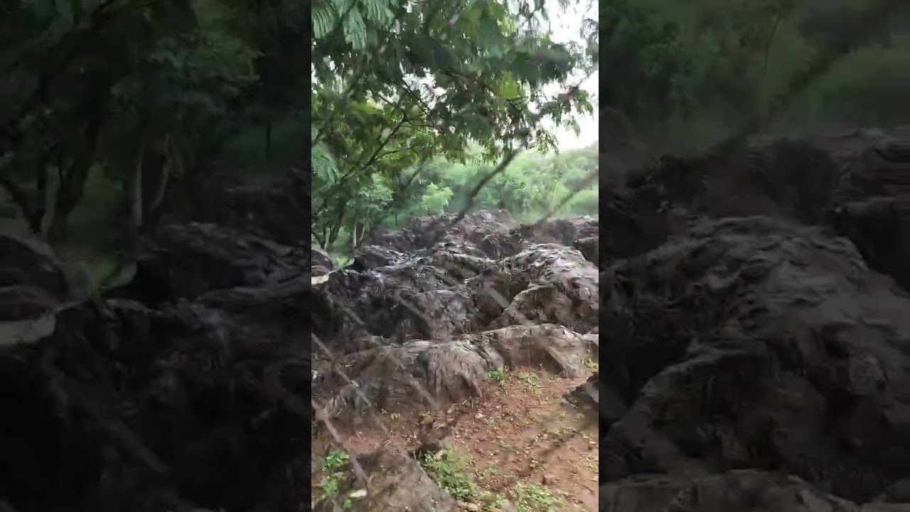 salkhan fossils park sonbhadra