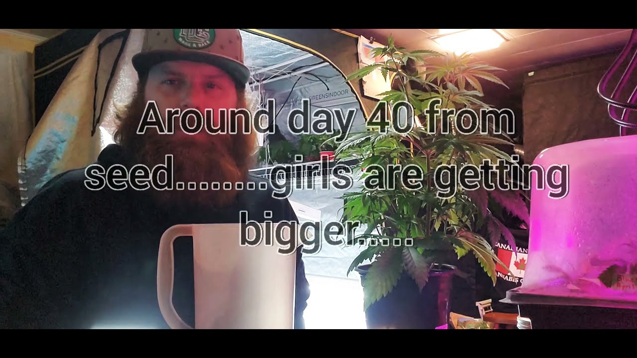 Gbay genetics garden update. April 27 2021.