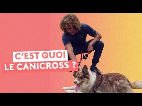 Discover canicross!
