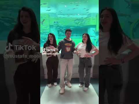 تيك توك مصطفي و لانا ولين مبدأنا السنه دي اشتراك اكسبلور جيش لنوش اشتراك اكسبلور