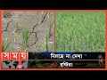 Found on YouTube: নীলফামারীতে পানির অভাবে আমনের ক্ষেতে ফাটল ! | Nilphamari Water Crisis | Nilphamari Farmers | Paddy