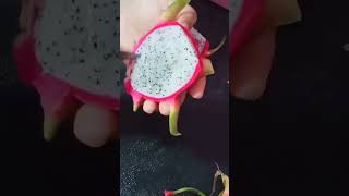 dragon fruits tasty short 