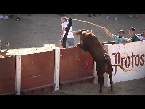 Peñafiel 2026 Tercer Encierro y Capea con Toros Bravos