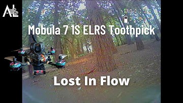 Lost In Flow // Mobula 7 1S ELRS Toothpick // FPV TreeStyle