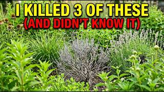 I Killed 3 Before Anyone Told Me | Stop Cutting Back These 8 Perennials in Fall