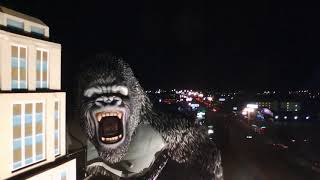 Publication Date: 2018-10-18 | Video Title: King Kong Drone night flight
