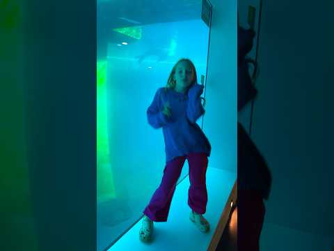Угадайте где я? #betsy #dance #hiphopgenre #suzy #musicgenre #funny
