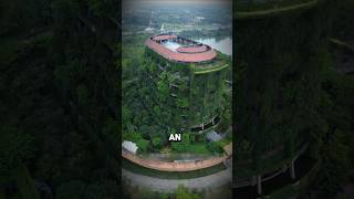 The $26 Million Building Made Just for Turtles 😳