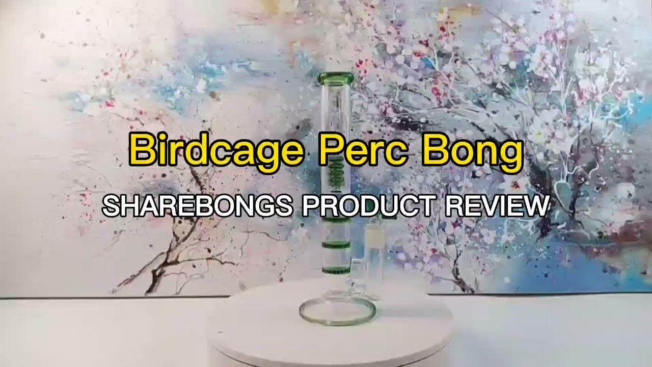 Birdcage Perc Dab Rig Big Triple Comb Straight Tube Water Bongs Share Bongs Review.
