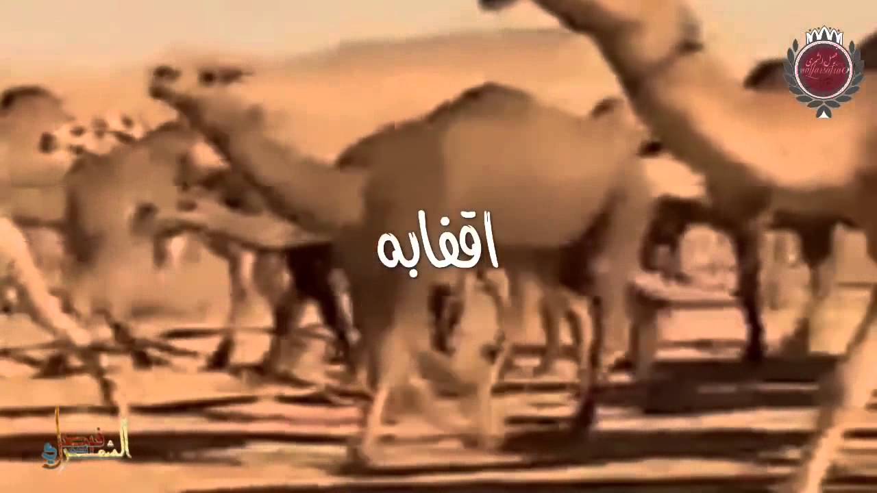 حاكم الشيباني ياعلي رده 😘😘