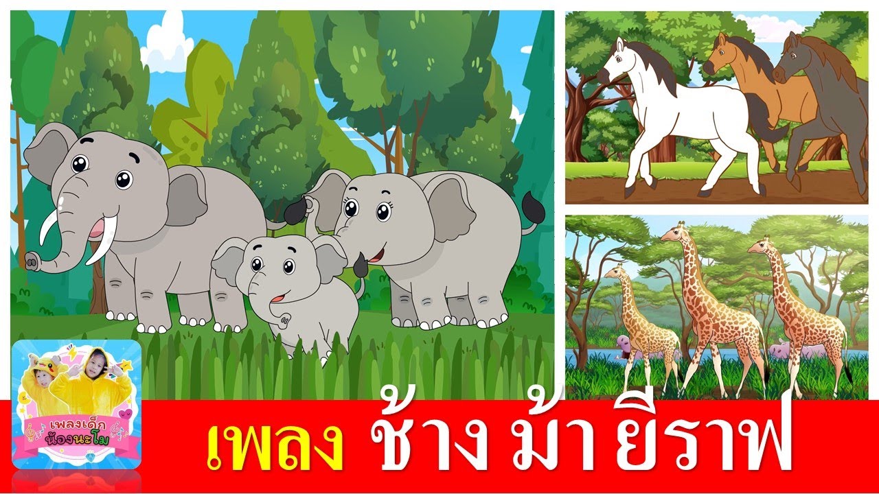 เพลงเด็กอนุบาล | ช้าง ม้า ยีราฟ | ช้างช้าง | ม้าวิ่งกับกับ | ยีราฟคอยาว