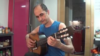 ELEGIA , joan manuel serrat/miguel hernandez, fingerstyle, free TAB