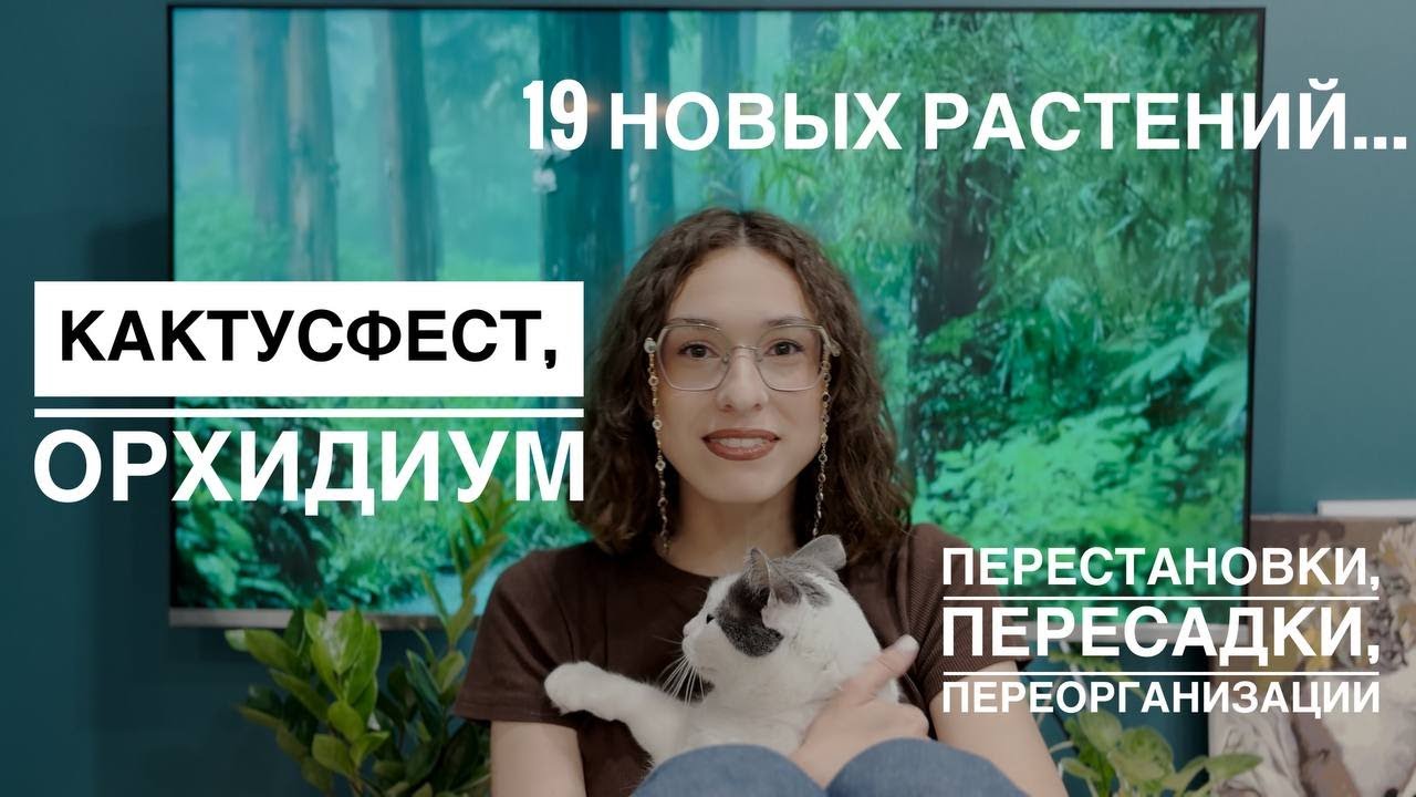 ОРХИДИУМ и КАКТУСФЕСТ 2025: Мои покупки, пересадка, организация стеллажа и влог