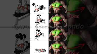 Best Chest Day Exercises For Mive Gains Dont Skip These