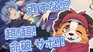 【ゼンゼロ】『最強』命破サポ！？これは引くっきゃねえわんねぇ🐾✨【ケモノVtuber】