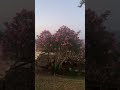 Шикарный вид на закате.Прекрасный Кемер Турция