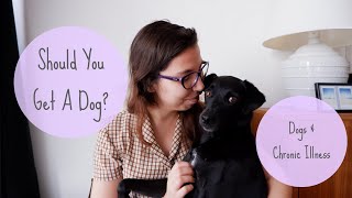 Should You Get A Dog? // What To Consider Before Getting a Dog When You're Chronically Ill