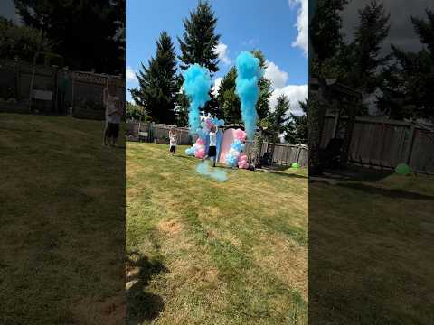 Gender reveal powder cannon video