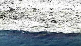 20101212AM.avi