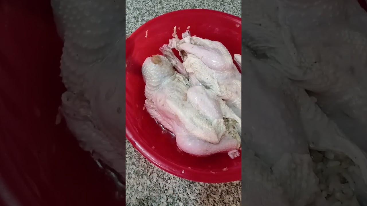 ٢٢ فبراير ٢٠٢٦