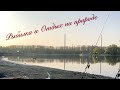 Рыбалка в Германии | находки на металлоискатель | Рыбалка на Рейне |  Погода как летом