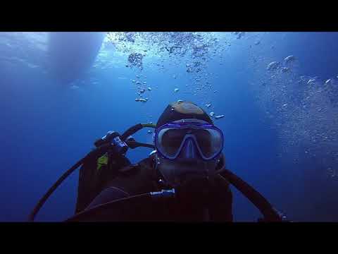 Plongée en Corse