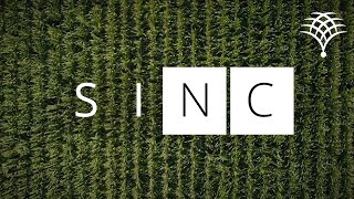 The SINC Center