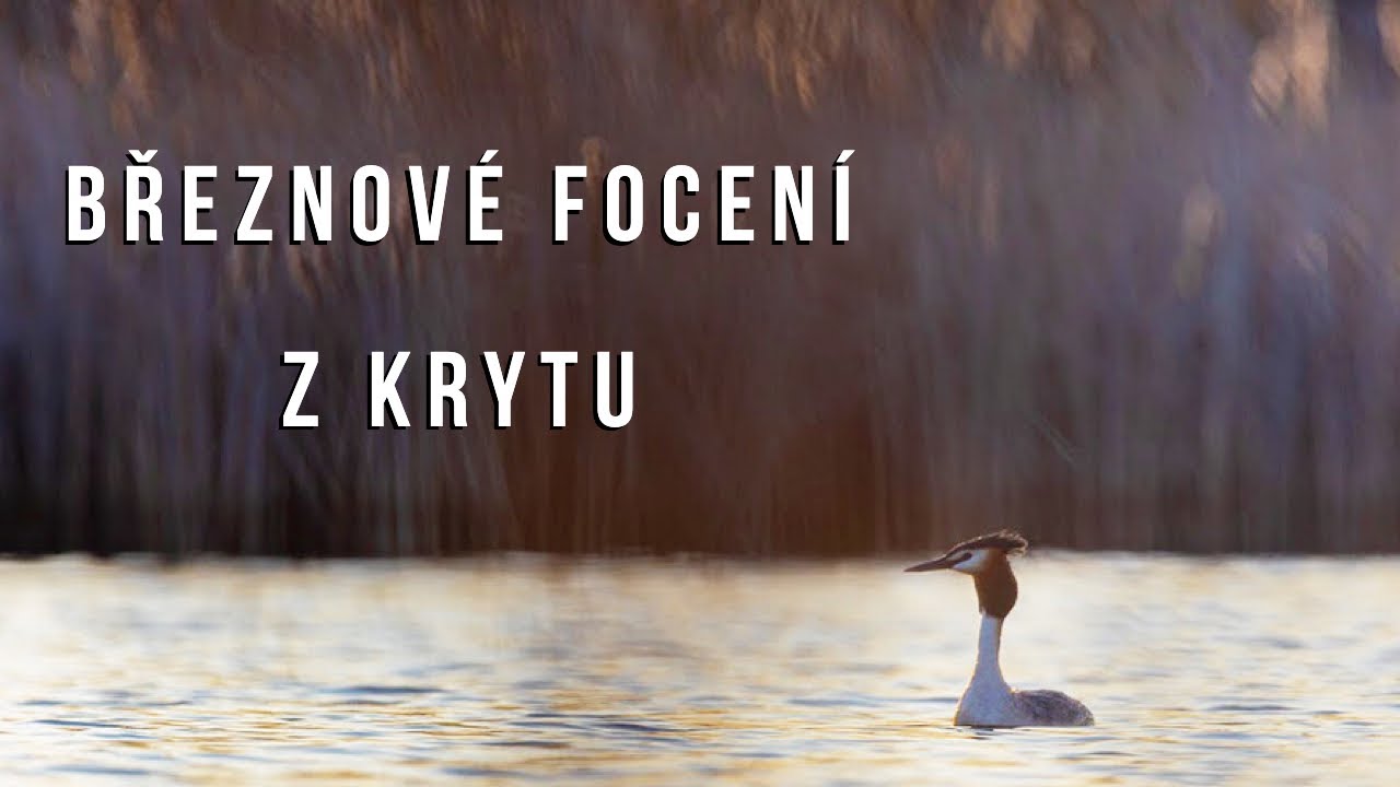 Březnové focení z krytu