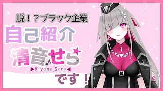 「【自己紹介】初めまして・・・清音せらです！【新人Vtuber】」のサムネイル