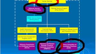 Vaccines A Public Health Success