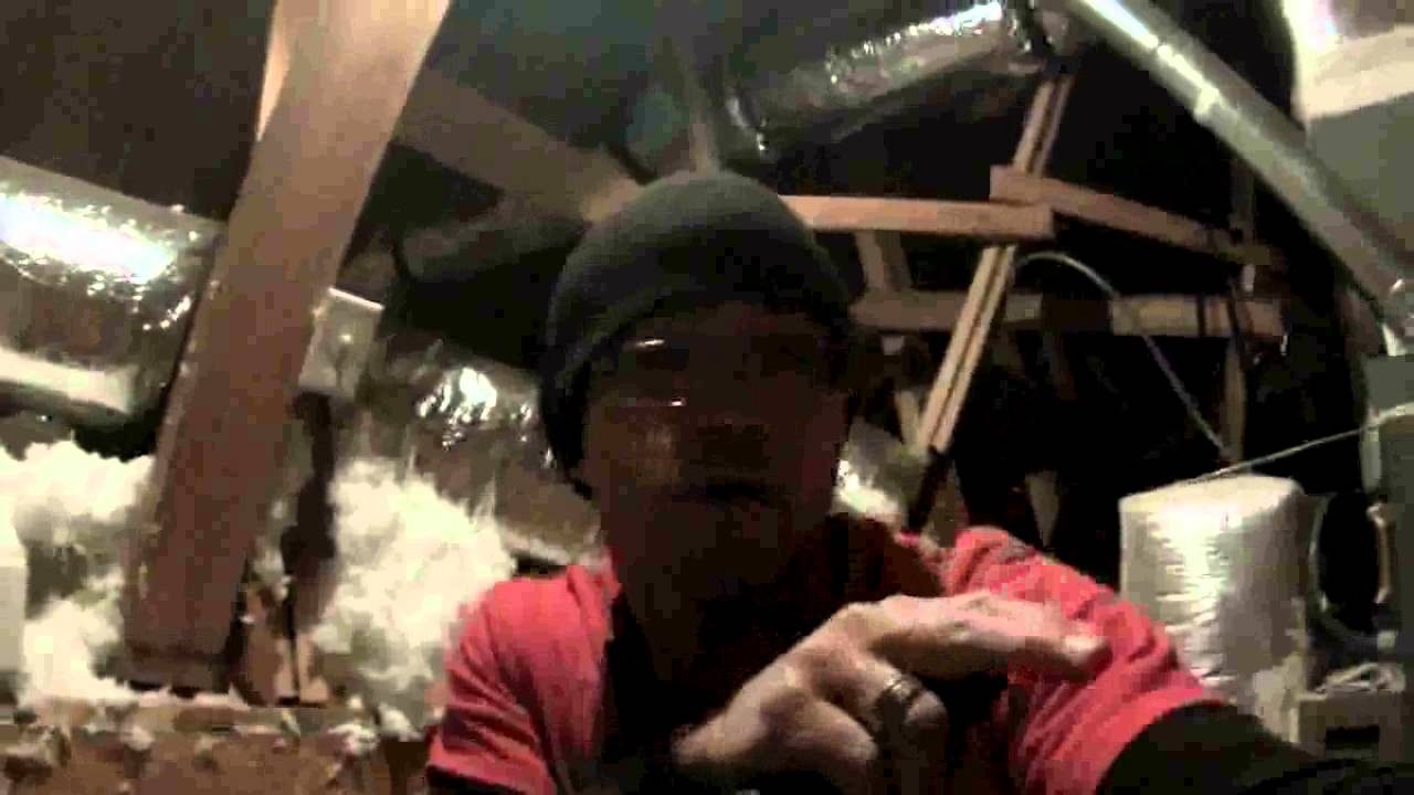 WILDLIFE EVICTORS video inspection for mice