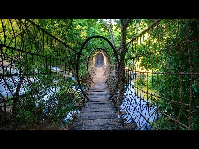 死と乙女（弦楽四重奏曲第14番ニ短調 D810）』フランツ・シューベルト