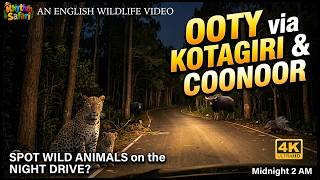 ⚠️ Terrifying 2 AM Night Drive Through the Ooty Forest 🔴 Close Encounters with Predators! English